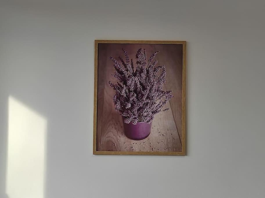 ריבניק ***Santorini Apartament*** - 40M² ✓ מראה חיצוני תמונה